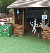 Fun Farm Cow Field